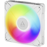 ARCTIC Sag fan Hvid