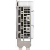 ASUS ASUS 8GB D7 RTX 5060 DUAL WHITE, Grafikkort 