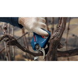 Bosch GGP 12V-25, 06008D8101, Havesaks Blå/Sort