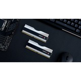 G.Skill Trident Z RGB F5-6000J3040G32GX2-TZ5RS hukommelsesmodul 64 GB 2 x 32 GB DDR5 6000 Mhz Sølv, 64 GB, 2 x 32 GB, DDR5, 6000 Mhz