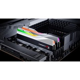 G.Skill Trident Z RGB F5-6000J3040G32GX2-TZ5RS hukommelsesmodul 64 GB 2 x 32 GB DDR5 6000 Mhz Sølv, 64 GB, 2 x 32 GB, DDR5, 6000 Mhz