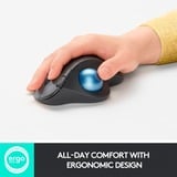 Logitech Ergo M575 mus Højre hånd RF trådløs + Bluetooth Trackball 2000 dpi grafit, Højre hånd, Trackball, RF trådløs + Bluetooth, 2000 dpi, Grafit