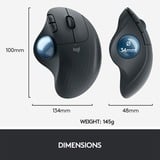 Logitech Ergo M575 mus Højre hånd RF trådløs + Bluetooth Trackball 2000 dpi grafit, Højre hånd, Trackball, RF trådløs + Bluetooth, 2000 dpi, Grafit