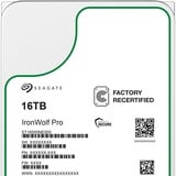 Seagate ST16000NE000, Harddisk 
