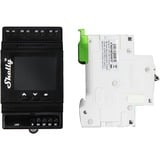 Shelly 4Pro PM, Relay 