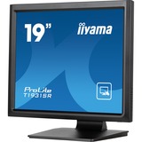 iiyama LED-skærm Sort