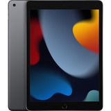 Apple iPad 256 GB 25,9 cm (10.2") Wi-Fi 5 (802.11ac) iPadOS 15 Grå, Tablet PC grå, 25,9 cm (10.2"), 2160 x 1620 pixel, 256 GB, iPadOS 15, 487 g, Grå
