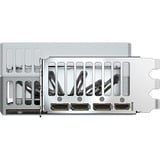 GIGABYTE Grafikkort 