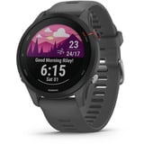 Garmin SmartWatch grå/Sort