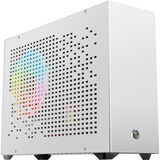 RAIJINTEK 0R20B00203, Towerkabinet Hvid
