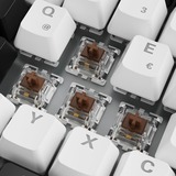 Sharkoon Gaming-tastatur Hvid, DE-layout, Gateron Brown