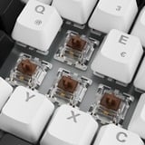 Sharkoon SKILLER SGK50 S3, Gaming-tastatur Hvid, DE-layout, Gateron Brown