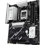 ASUS Bundkort 