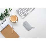 ASUS Marshmallow Mouse MD100 mus Kontor Ambidextrous RF trådløs + Bluetooth Optisk 1600 dpi grå, Ambidextrous, Optisk, RF trådløs + Bluetooth, 1600 dpi, Grå