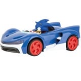 Carrera GO!!! Sonic the Hedgehog, Racerbane 