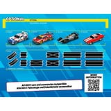 Carrera GO!!! Sonic the Hedgehog, Racerbane 