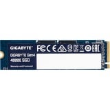 GIGABYTE G440E250G, Solid state-drev 