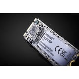 Intenso Top M.2 1000 GB Serial ATA III 3D NAND, Solid state-drev 1000 GB, M.2, 520 MB/s