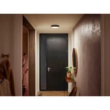 Philips Hue 915005996501, LED lys Sort