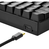 Sharkoon SGK50 S4 tastatur USB QWERTZ Tysk Sort, Gaming-tastatur Sort, DE-layout, Kalih rød, 60%, USB, QWERTZ, RGB LED, Sort