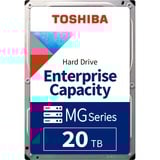 Toshiba MG10 20 TB, Harddisk 
