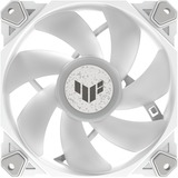 ASUS TUF GAMING TF120 ARGB WHITE EDITION Computerkabinet Luftkøler 12 cm Hvid 1 stk, Sag fan Hvid/gennemsigtig, Luftkøler, 12 cm, 250 rpm, 1900 rpm, Hvid