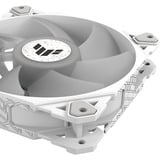 ASUS TUF GAMING TF120 ARGB WHITE EDITION Computerkabinet Luftkøler 12 cm Hvid 1 stk, Sag fan Hvid/gennemsigtig, Luftkøler, 12 cm, 250 rpm, 1900 rpm, Hvid