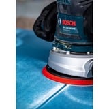 Bosch Expert C470 50 stk Slibeskive, Slibning ark 50 stk