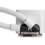 EKWB EK-Nucleus AIO CR240 Lux D-RGB - White, Vandkøling Hvid