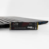 PNY M280CS3140-1TB-RB, Solid state-drev 