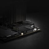 ADATA AX5U6000C3616G-SLABBK, Hukommelse Sort