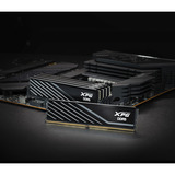 ADATA DIMM 16 GB DDR5-6000, Hukommelse Sort