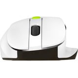 ASUS MD105, Mus Hvid/Grøn