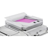 Alphacool Apex Monoblock X870 AORUS ELITE WIFI7 ICE, Køleplade Hvid