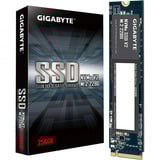 GIGABYTE G3NVMEV2256G, Solid state-drev 