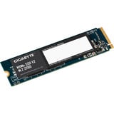 GIGABYTE G3NVMEV2256G, Solid state-drev 