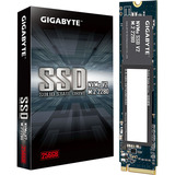 GIGABYTE NVMe SSD V2 256GB, Solid state-drev 