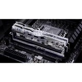 G.Skill F5-6400J3039G16GX2-TR5S, Hukommelse Sølv