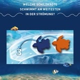 KOSMOS 683467, Brætspil 