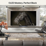 LG OLED65C6ELB.AEUD, OLED-TV Sort