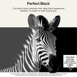 LG OLED65C6ELB.AEUD, OLED-TV Sort
