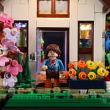 Lumibricks Hjemme drivhus, Bygge legetøj 