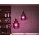 Philips Hue White & Color Ambiance Startpakke: E27 Smart Pære A60 Trespakket, LED-lampe 