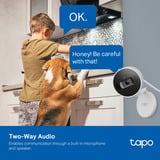 TP-Link Tapo C125, Overvågningskamera Hvid/Sort