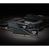 ADATA AX5U6000C3016G-DTLABBK, Hukommelse Sort