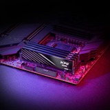 ADATA AX5U6000C3016G-DTLABBK, Hukommelse Sort
