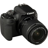 Canon EOS 2000D + EF-S 18-55mm f/3.5-5.6 III SLR kamerasæt 24,1 MP CMOS 6000 x 4000 pixel Sort, Digital kamera Sort, 24,1 MP, 6000 x 4000 pixel, CMOS, Fuld HD, Sort