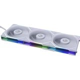 Lian Li 12TL3W, Sag fan Hvid