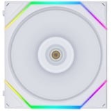 Lian Li 12TL3W, Sag fan Hvid