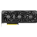 PNY GeForce RTX 5070 OC, Grafikkort 